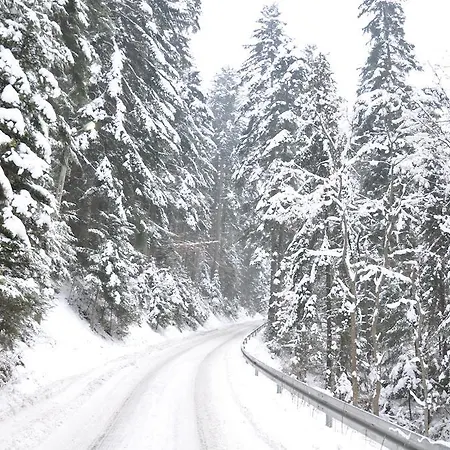 Gasthuis Willa Zosienka *