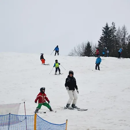 Willa Zosienka * Żegiestów Zdrój